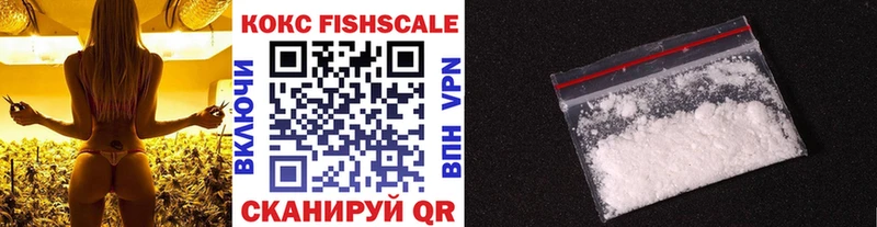 Купить где  Вятские Поляны  Кокаин FishScale 