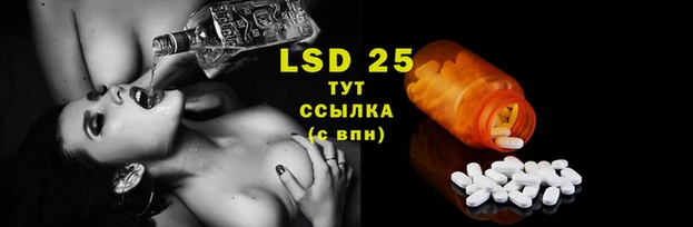 шишки Володарск