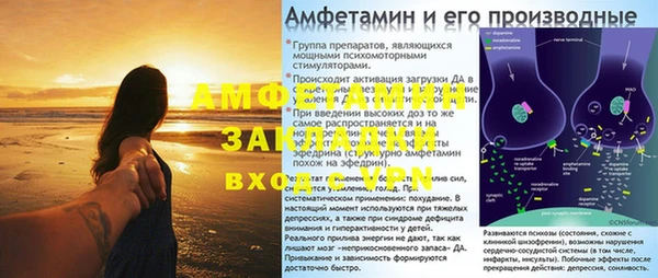 шишки Володарск