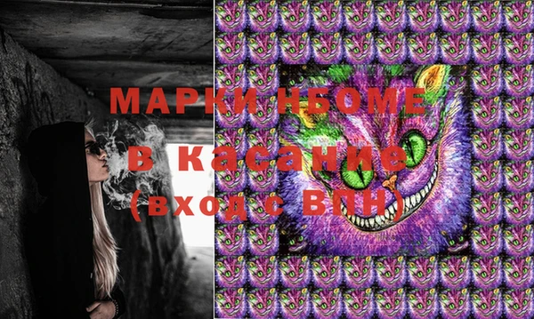 шишки Володарск
